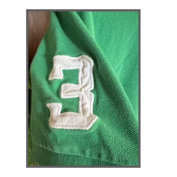 RALPH LAUREN POLO Big Pony Embroidered Mens SIZE LRG unique! - Picture 4 of 9